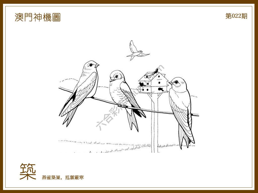 澳门神机图