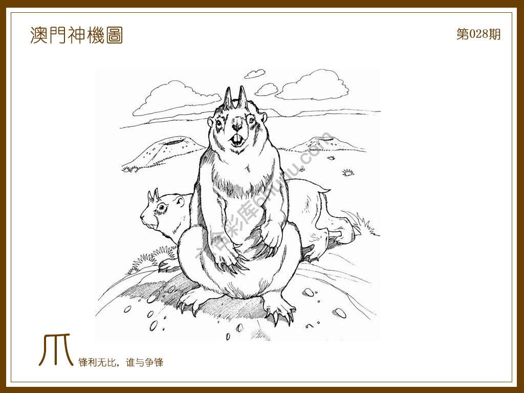 澳门神机图