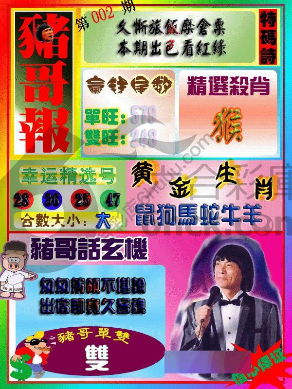 猪哥报