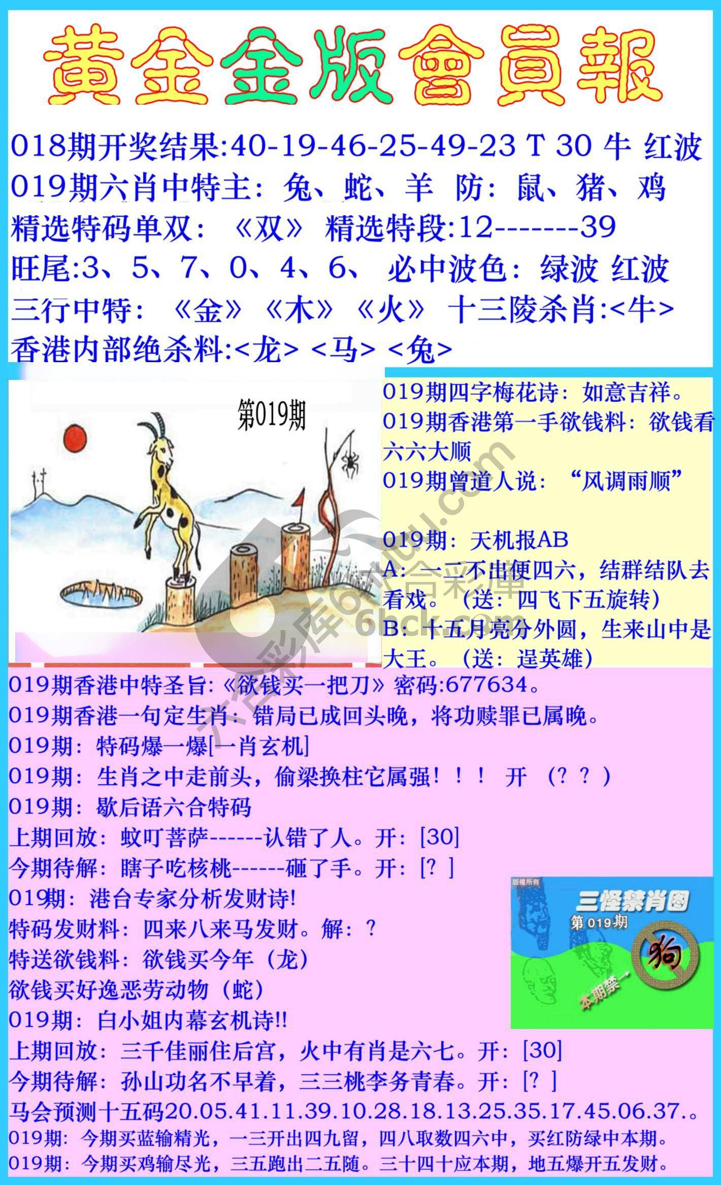 黄金金版会员报