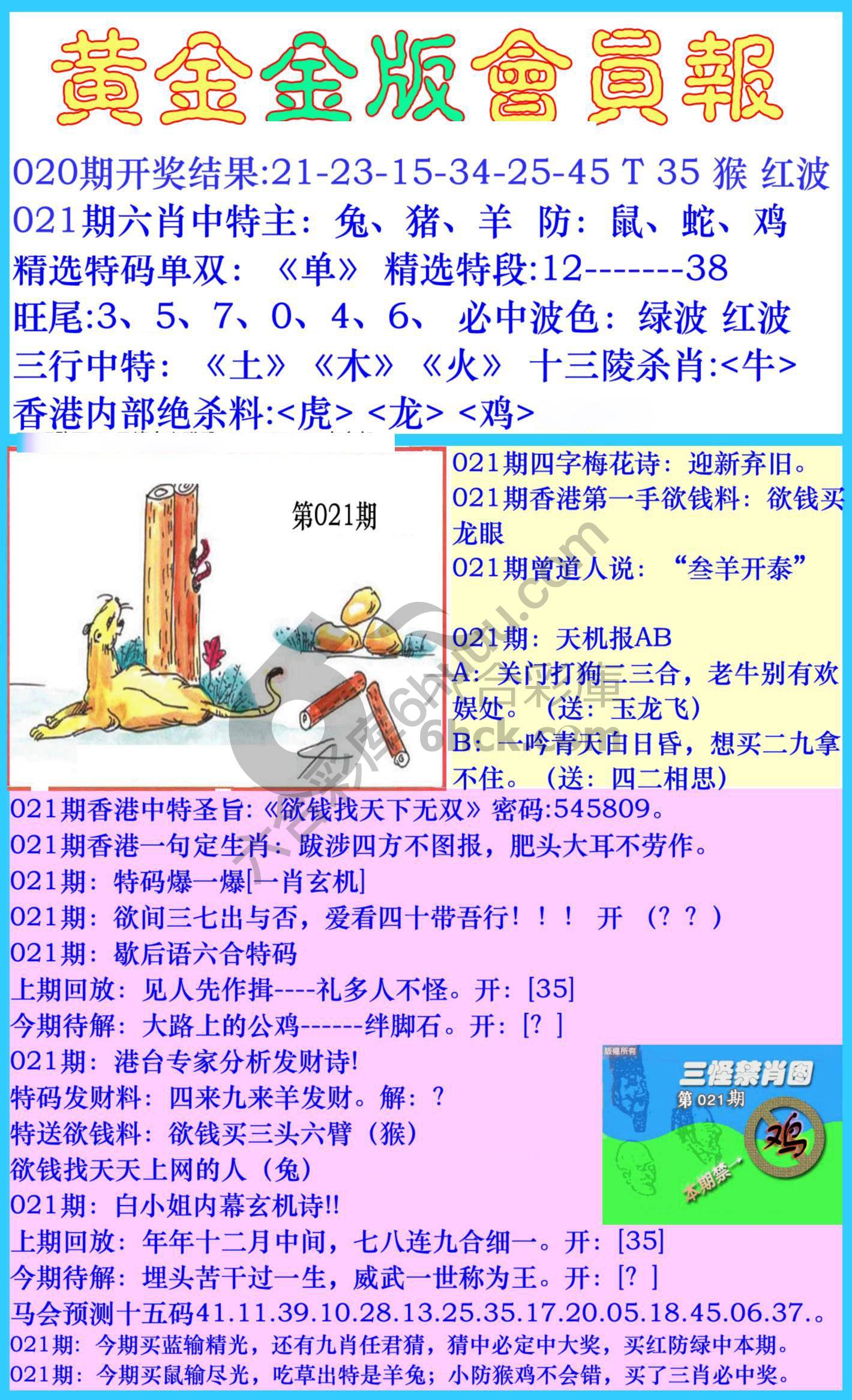 黄金金版会员报