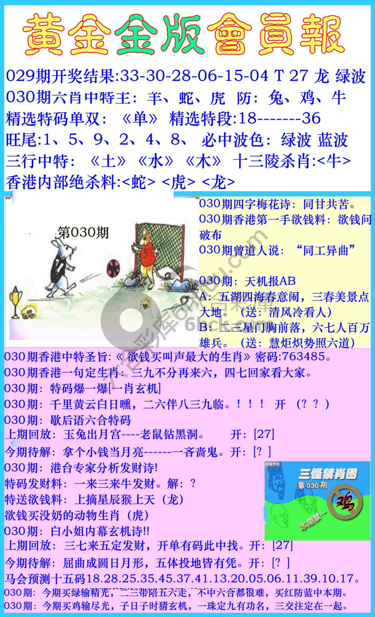 黄金金版会员报