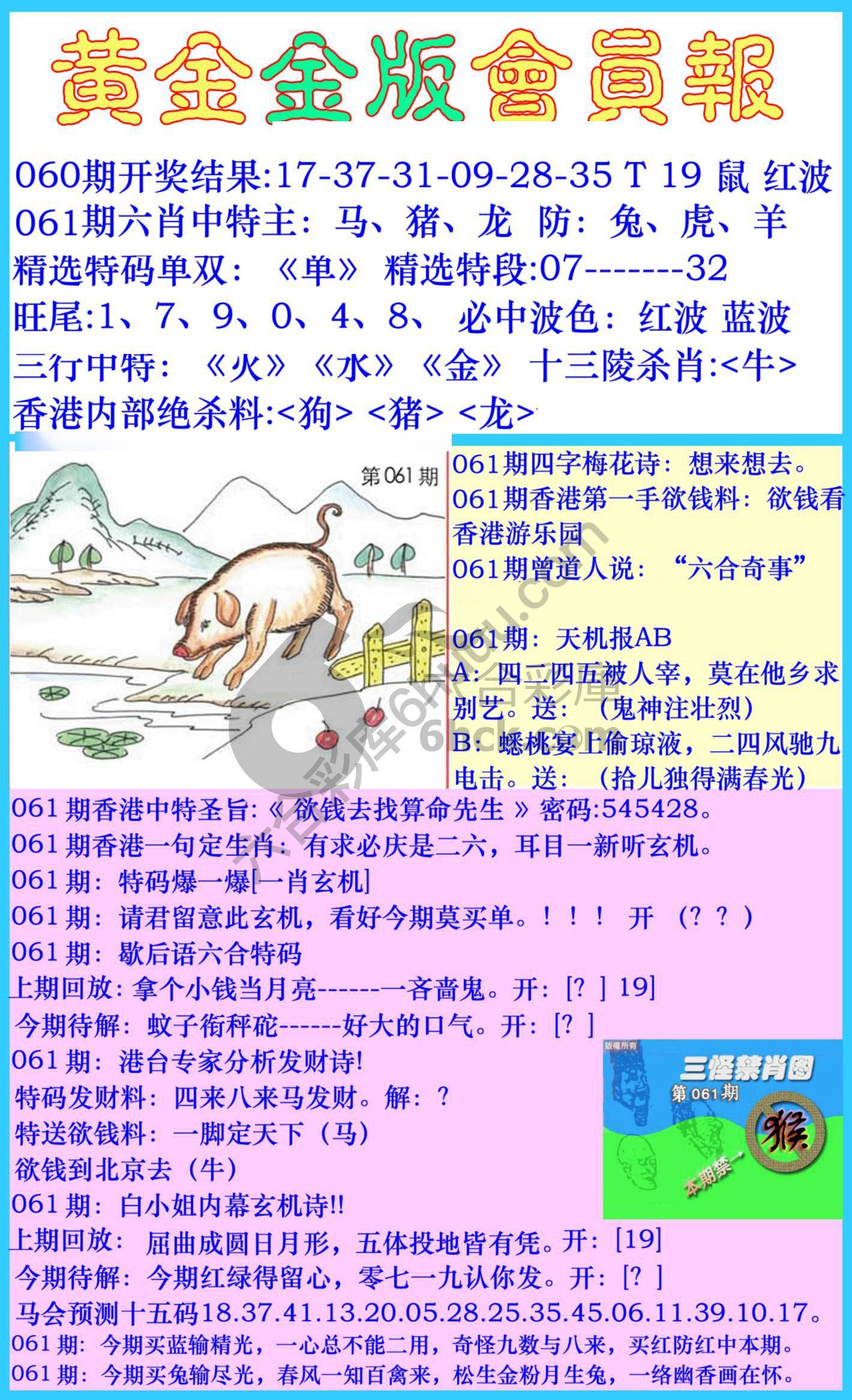 黄金金版会员报