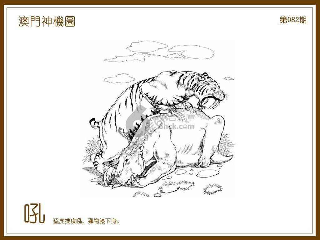 澳门神机图