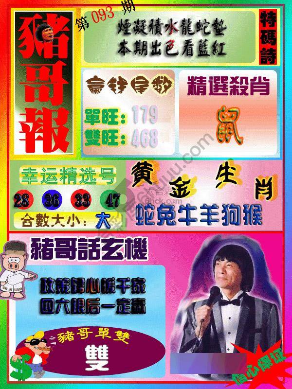 猪哥报