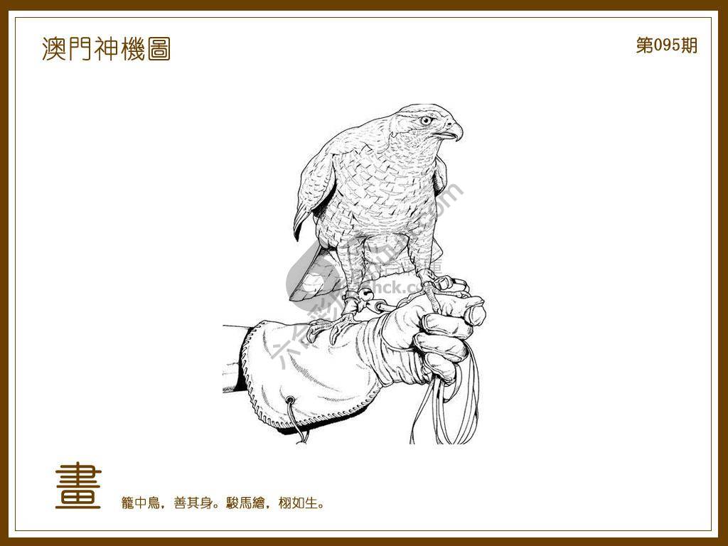 澳门神机图