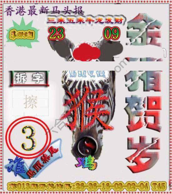 香港马头报