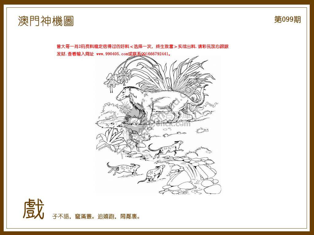 澳门神机图