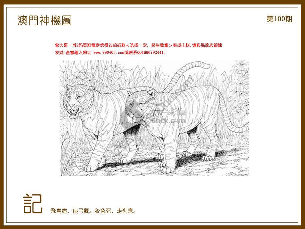 澳门神机图