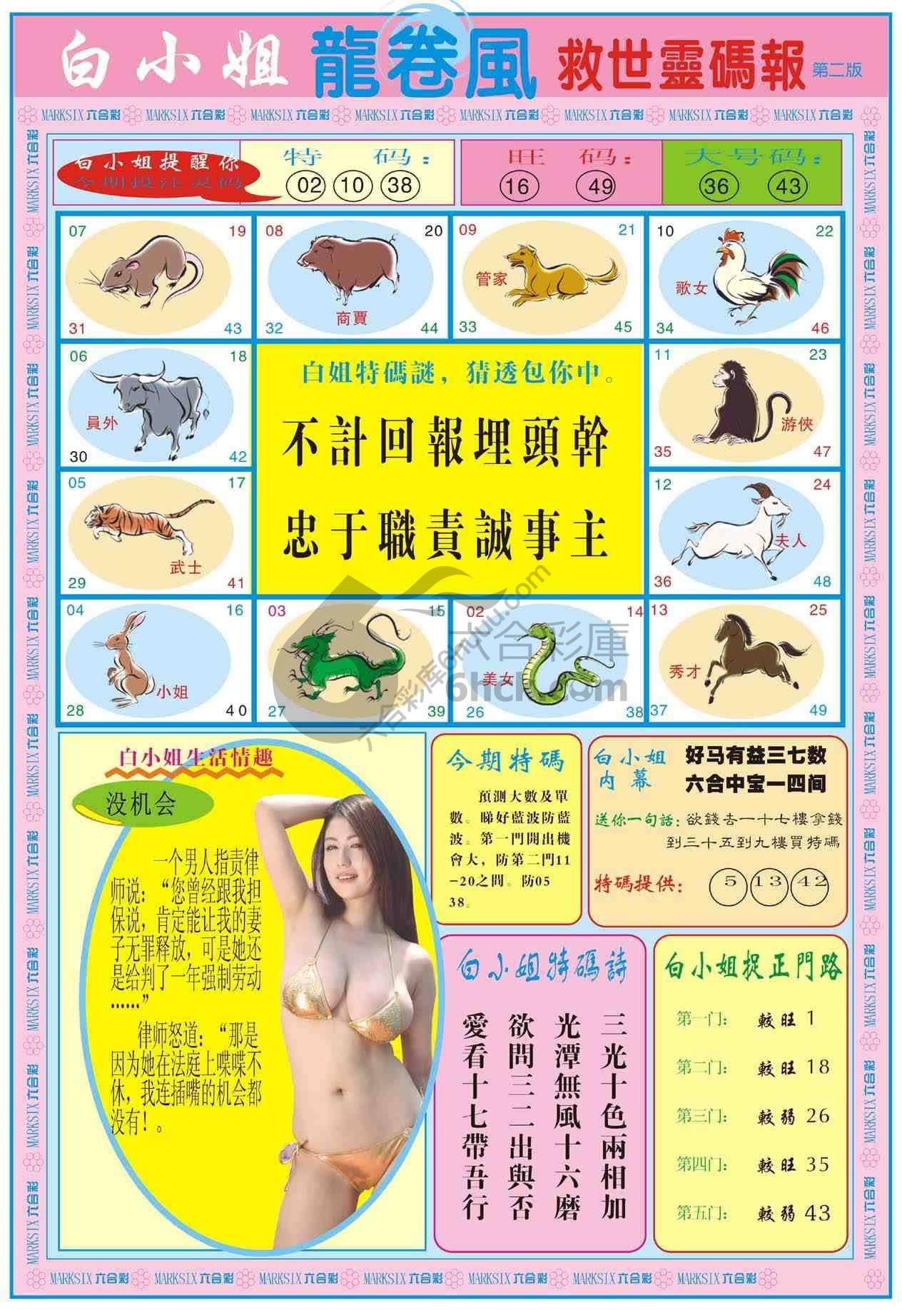 白小姐救世灵码报