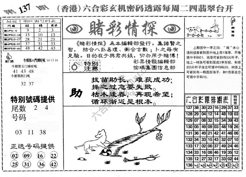 赌彩情探