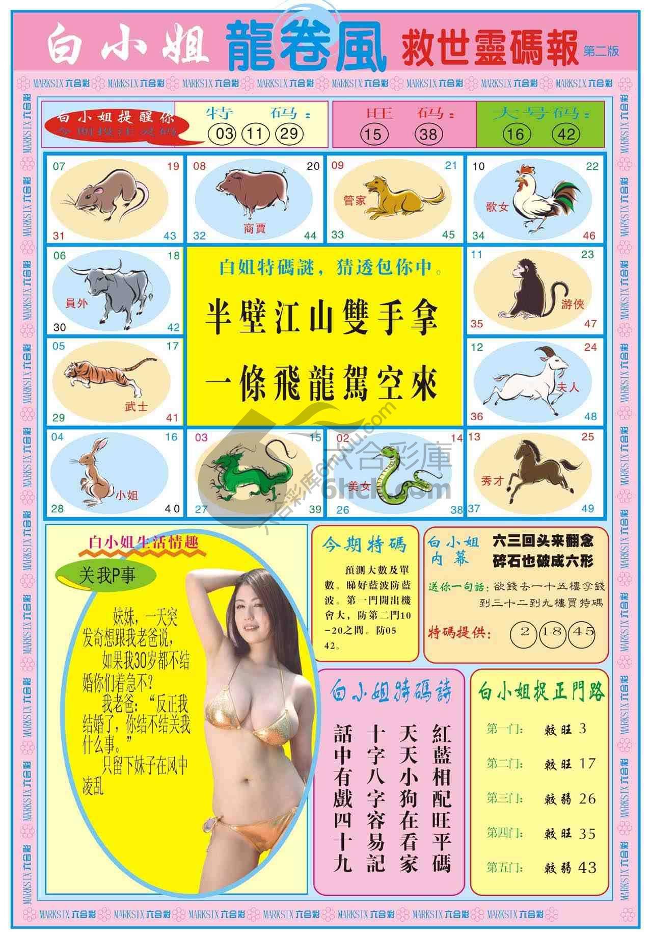 白小姐救世灵码报