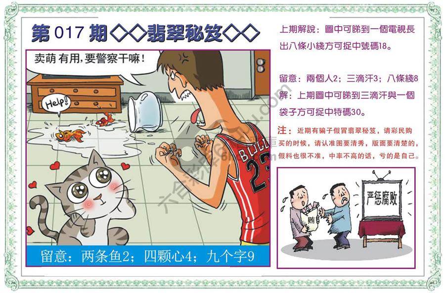 富婆翡翠秘籍图