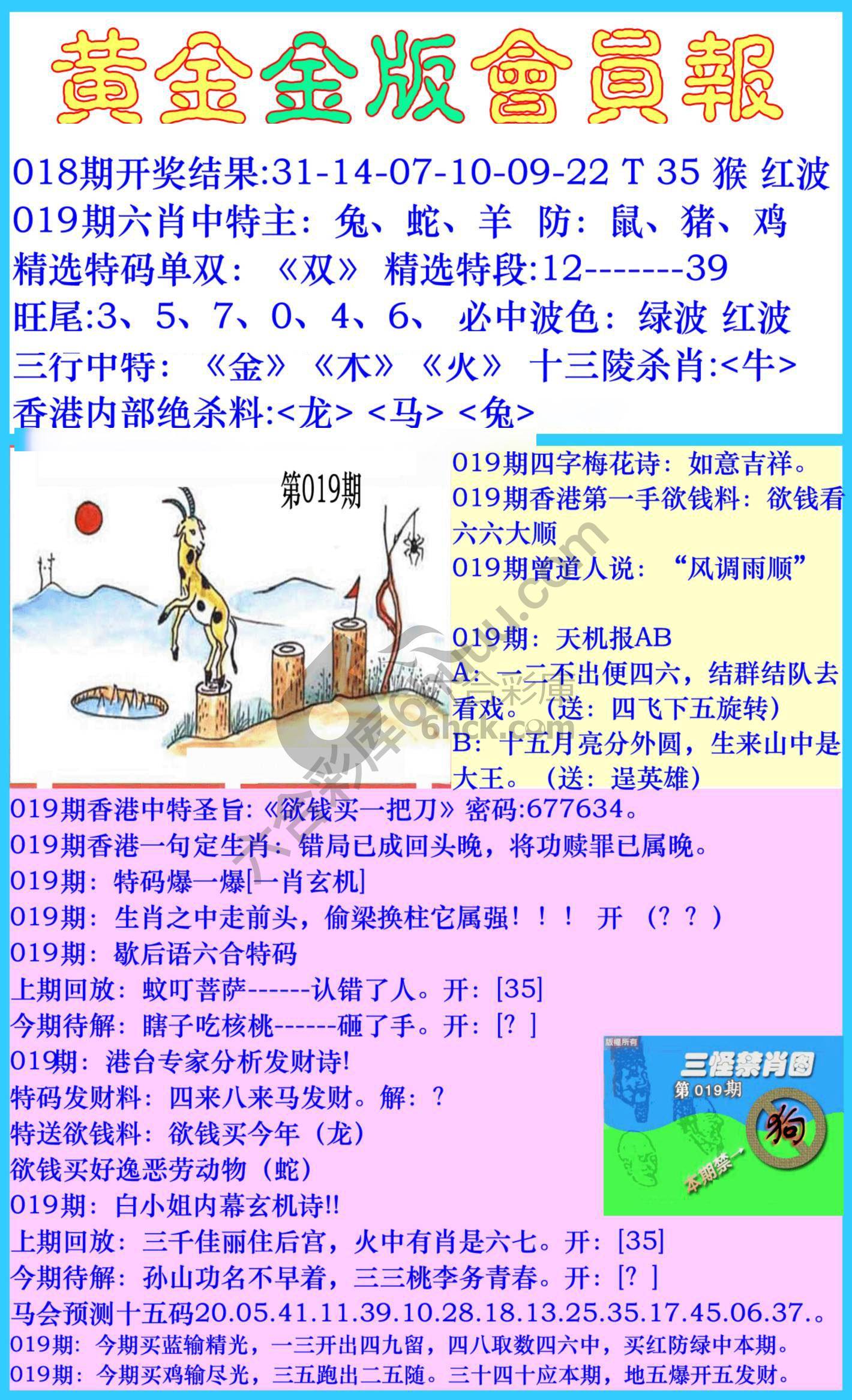 黄金金版会员报