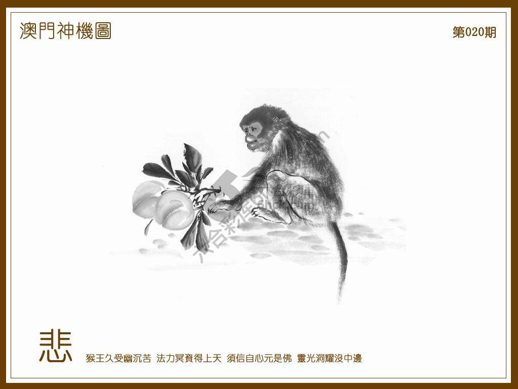 澳门神机图