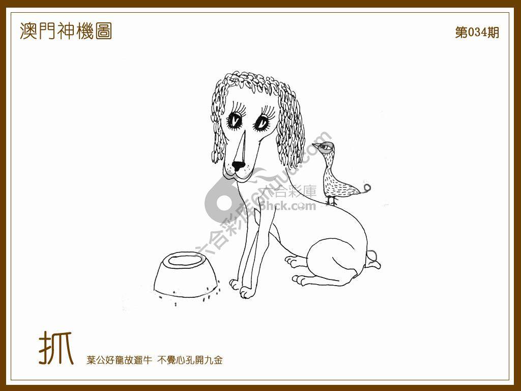 澳门神机图