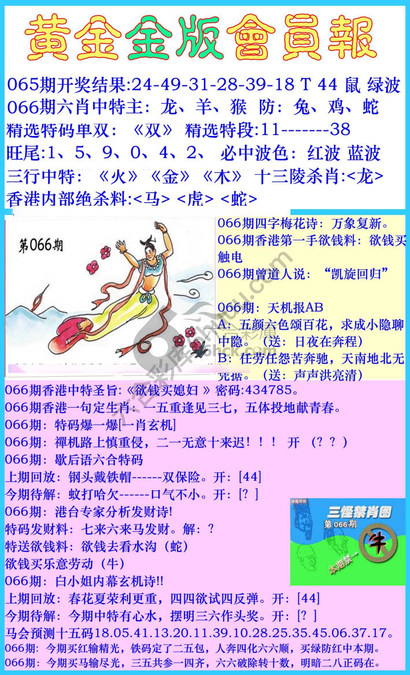 黄金金版会员报