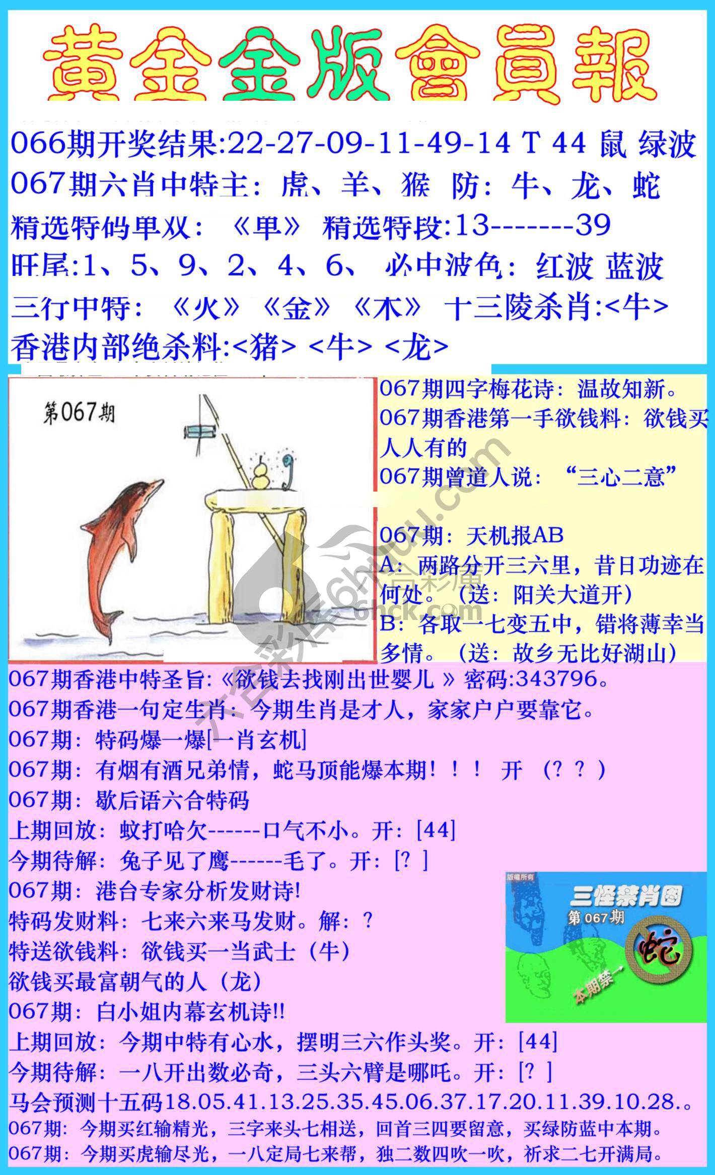 黄金金版会员报