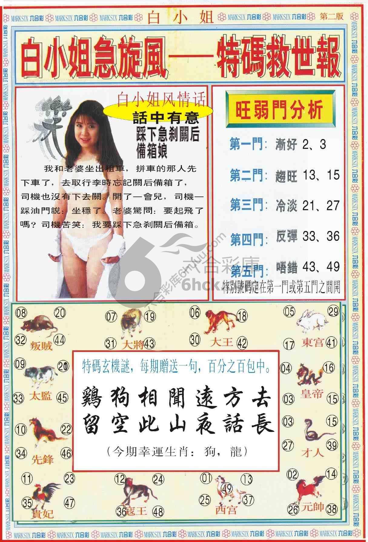 九龙内幕