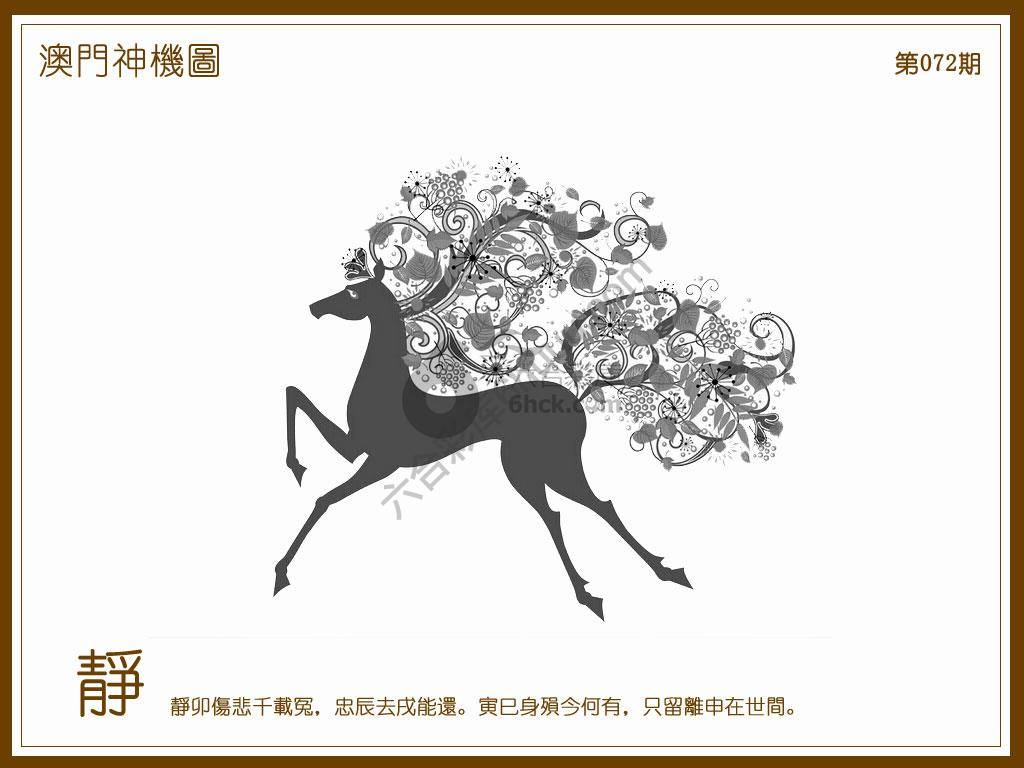 澳门神机图