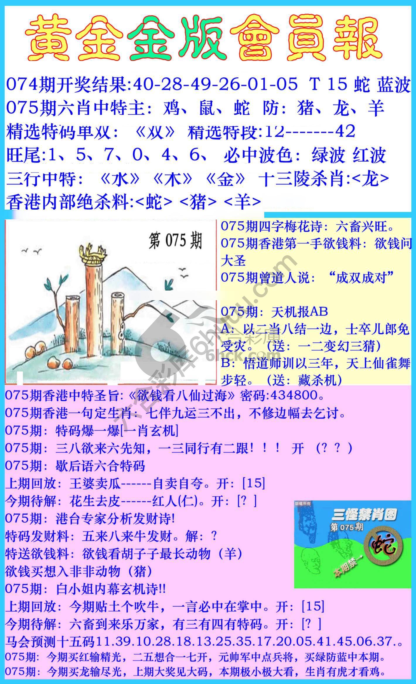 黄金金版会员报