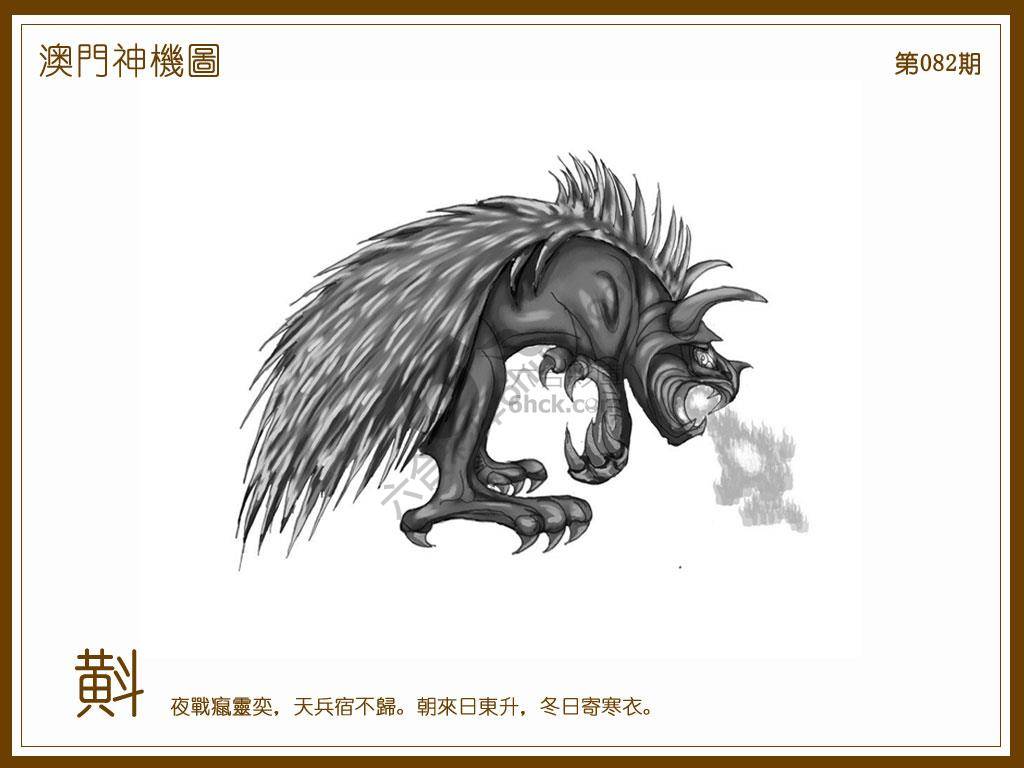 澳门神机图