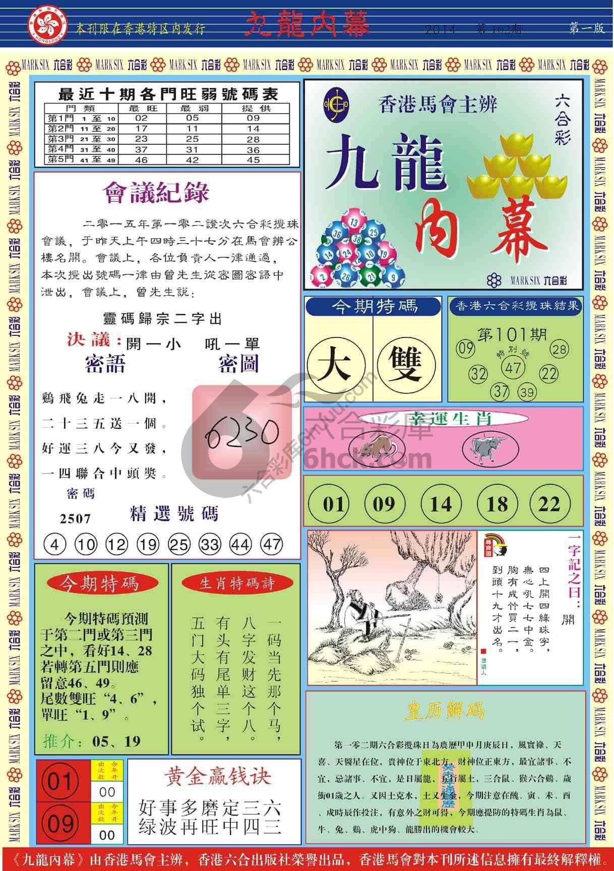 九龙内幕