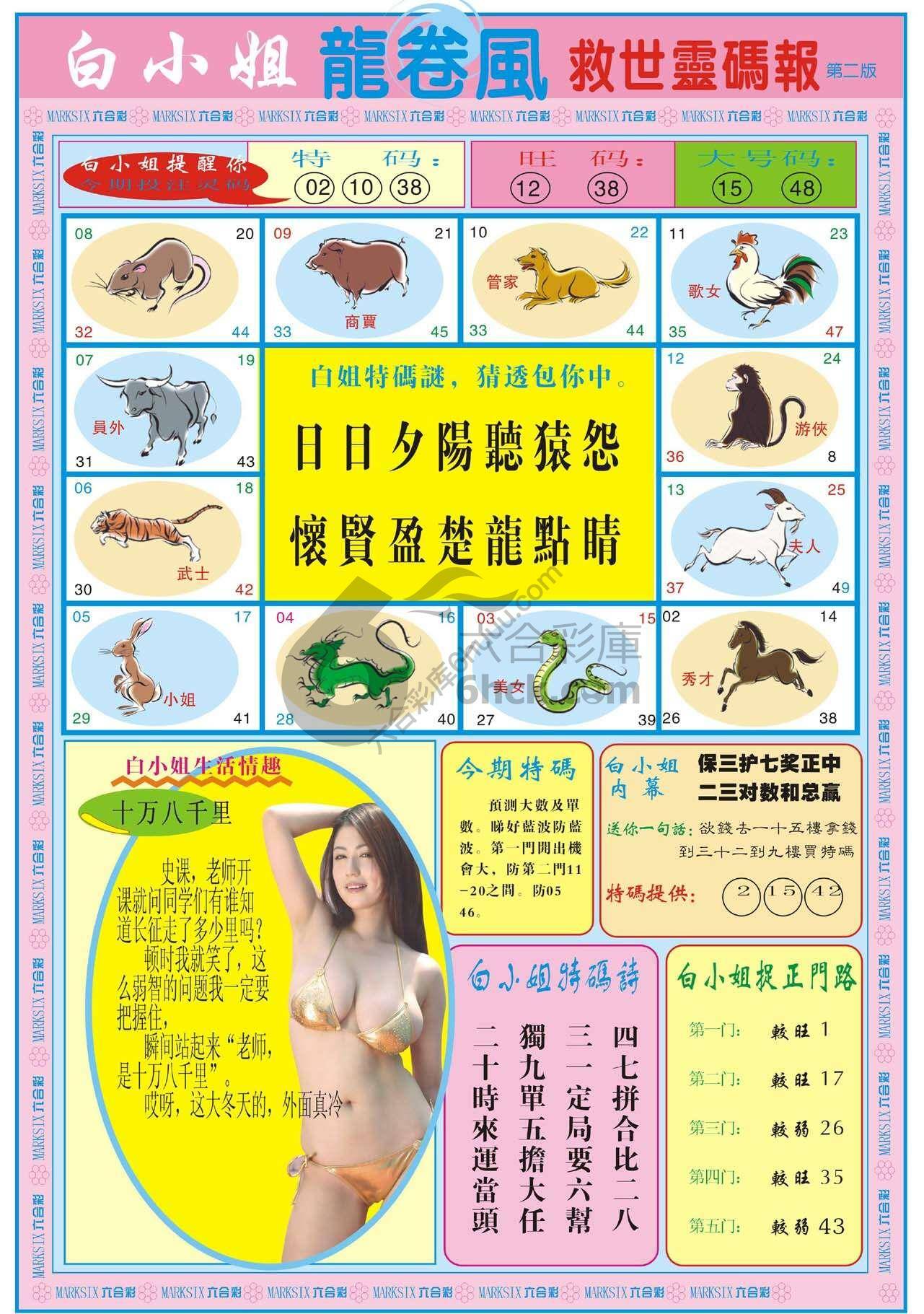 白小姐龙卷风