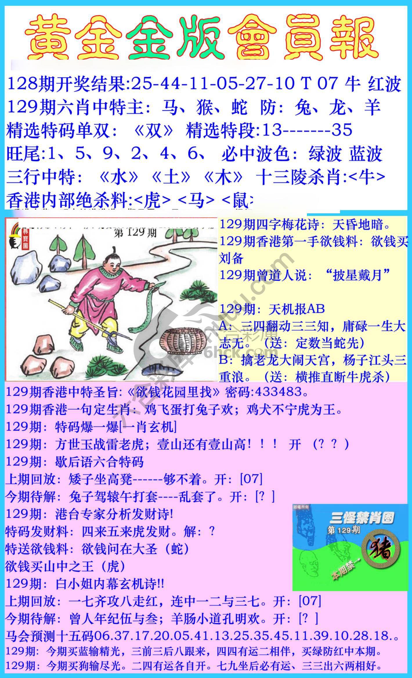 黄金金版会员报