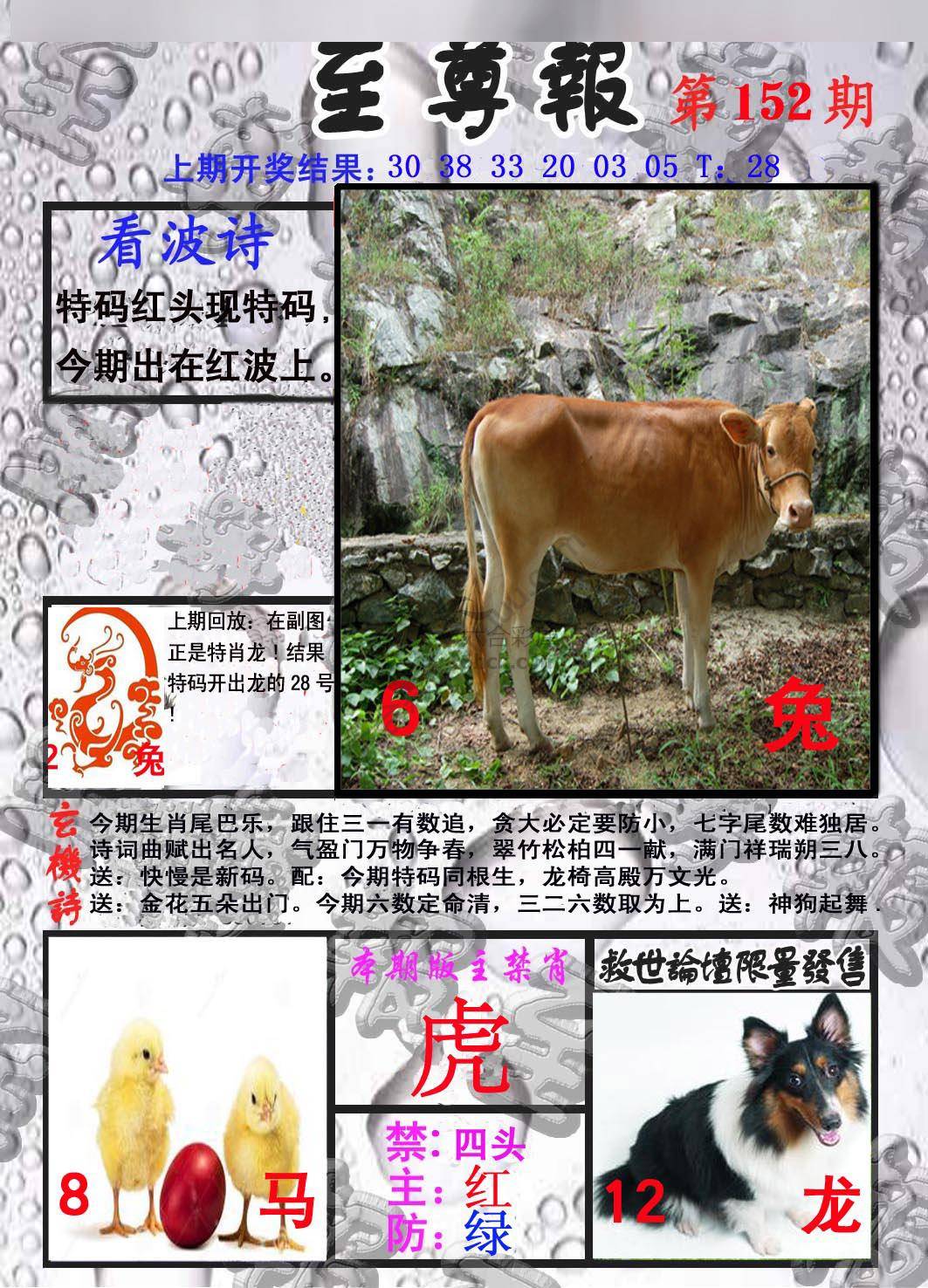 至尊报