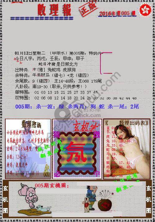 数理报