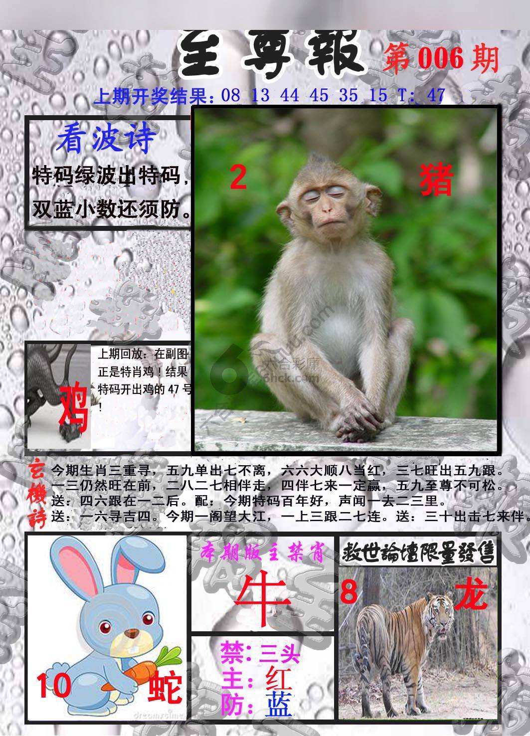 至尊报