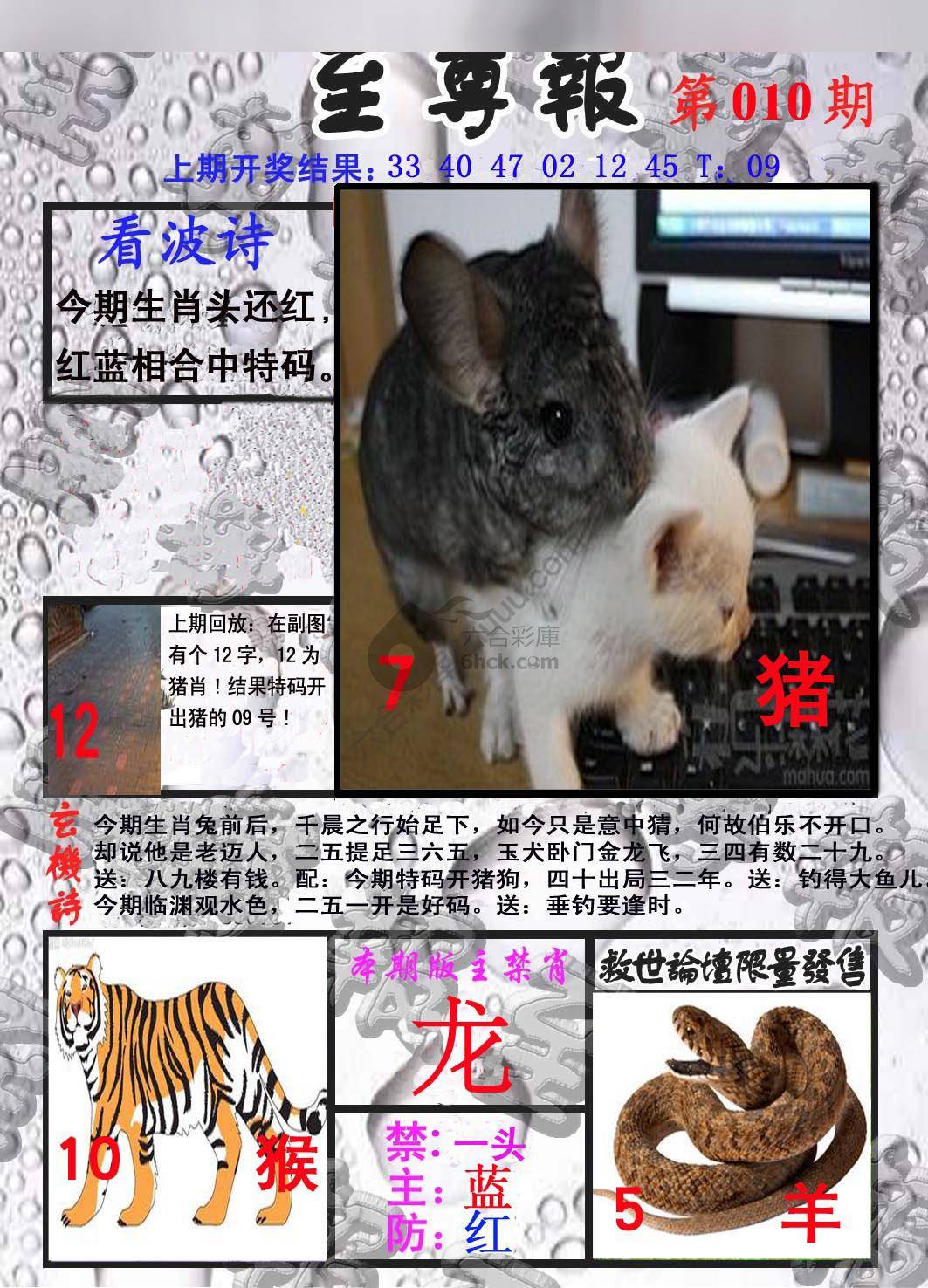 至尊报