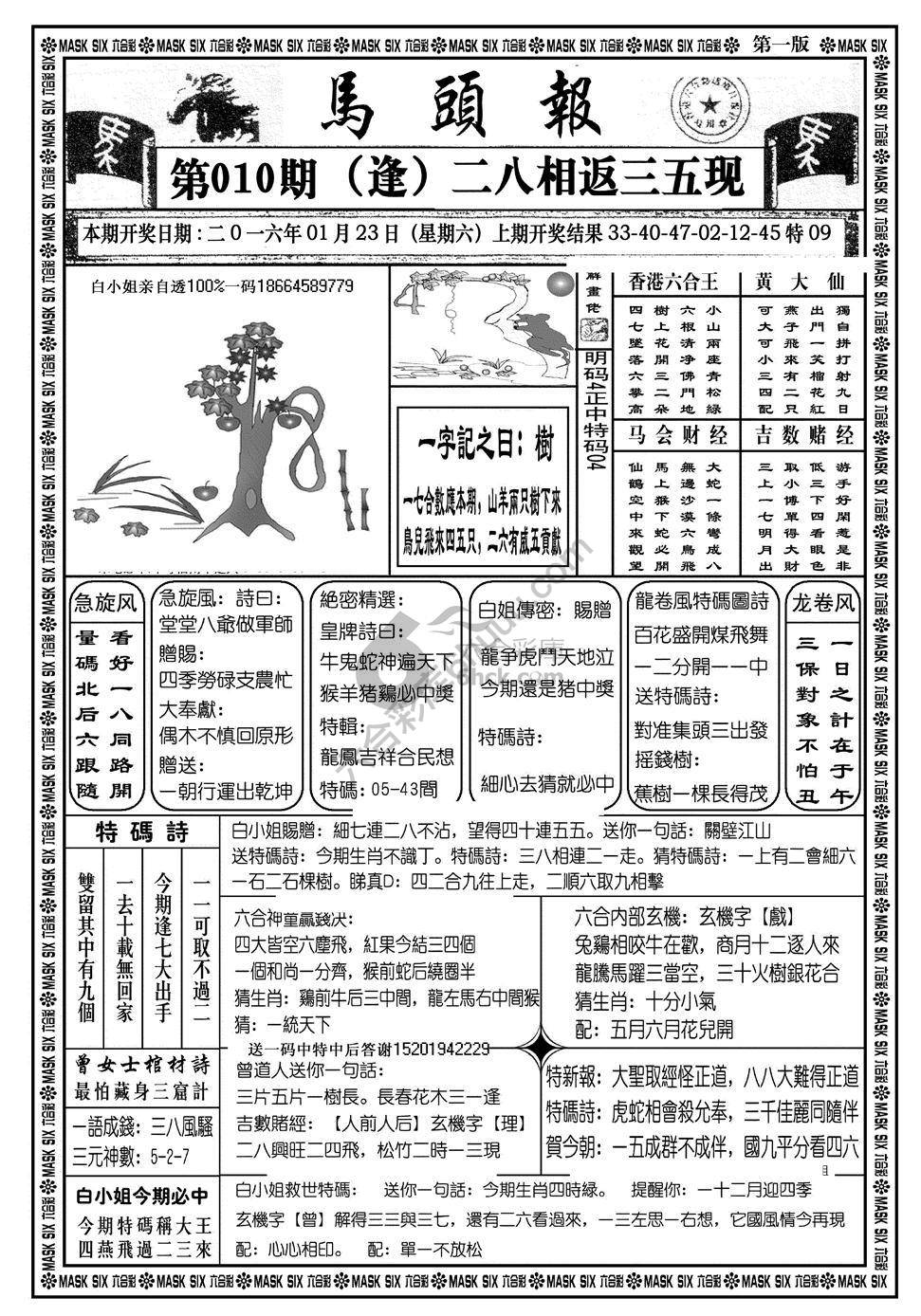 马头报