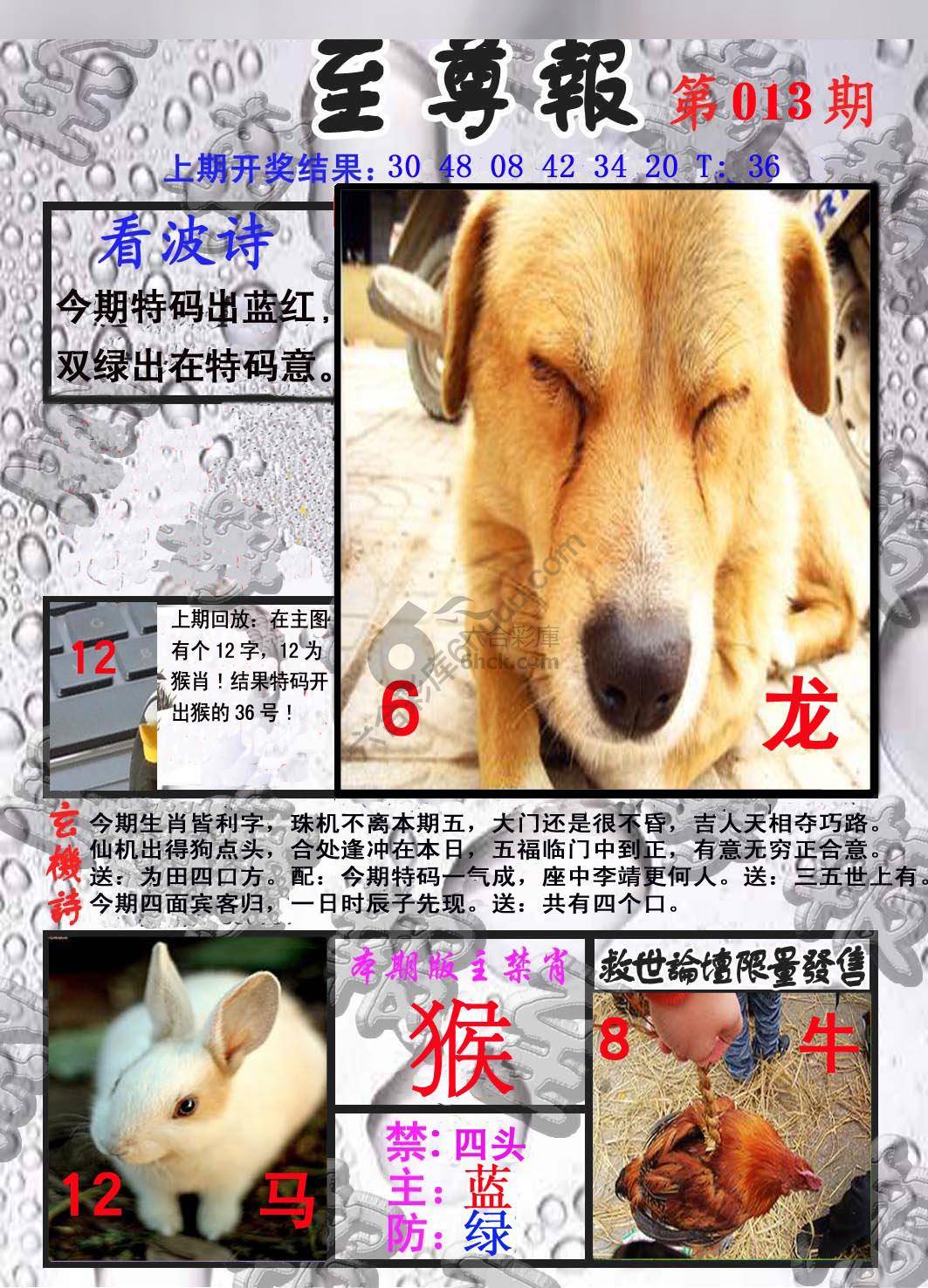 至尊报