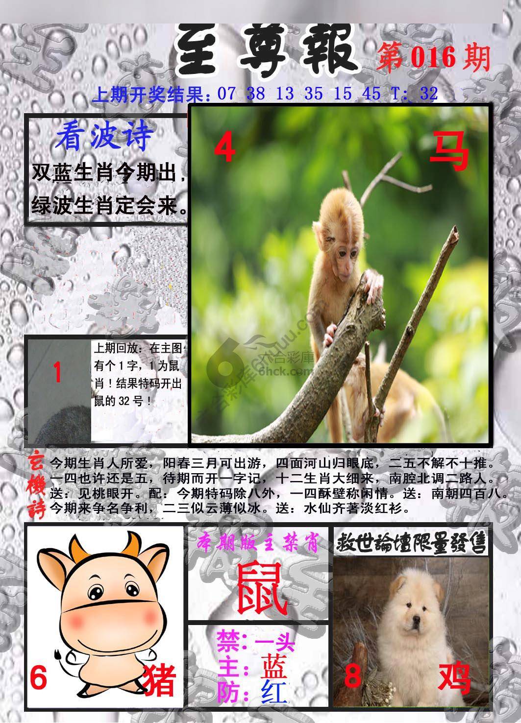 至尊报
