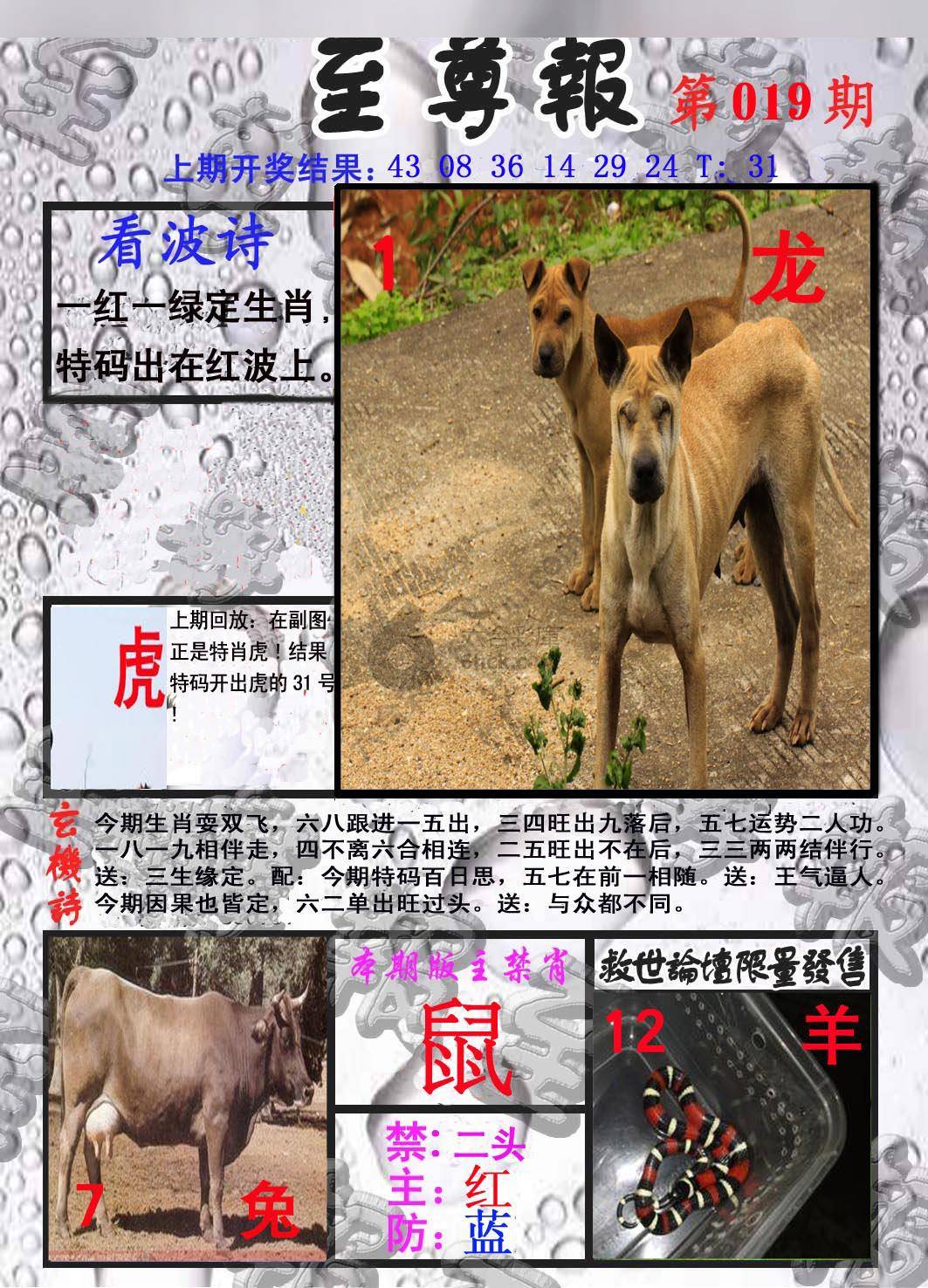 至尊报