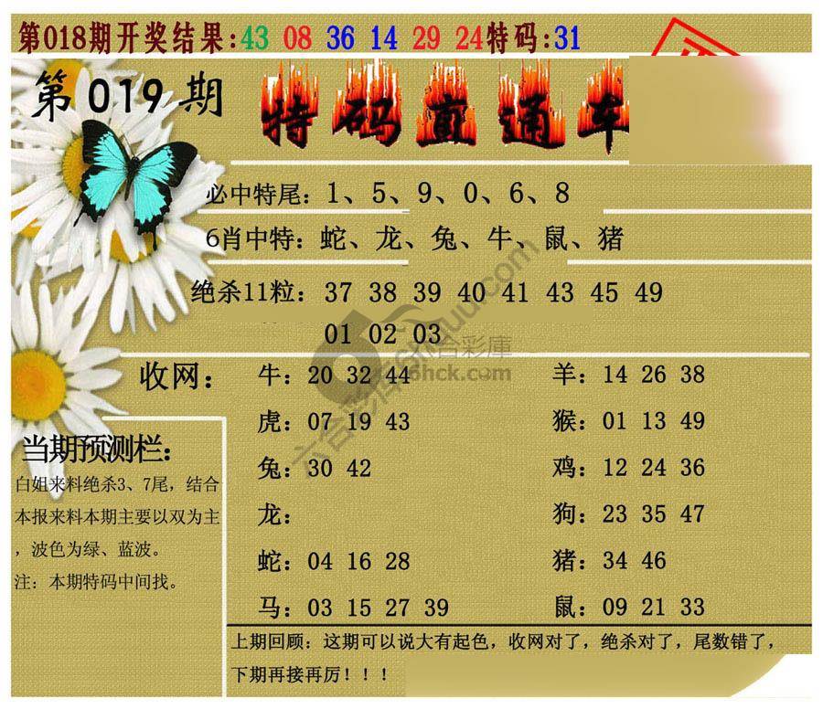 特码直通车