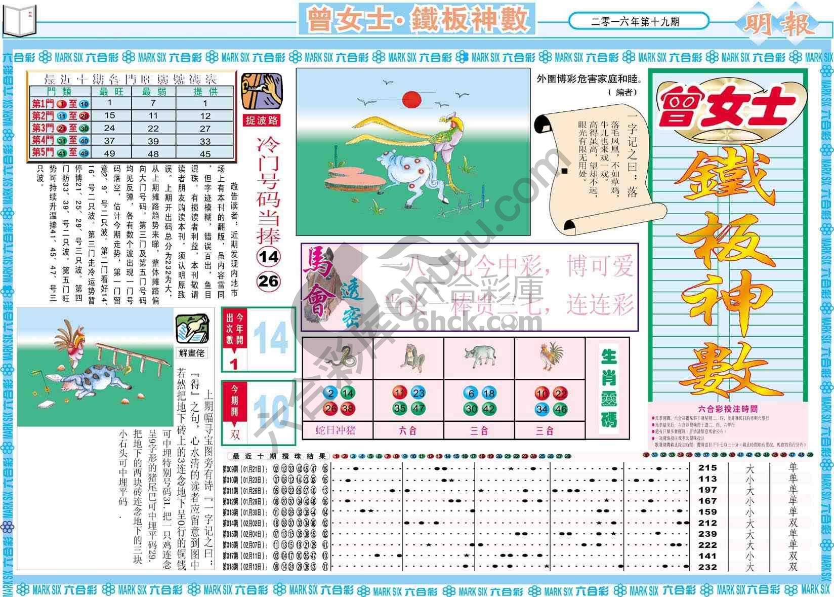 曾女士铁板神数
