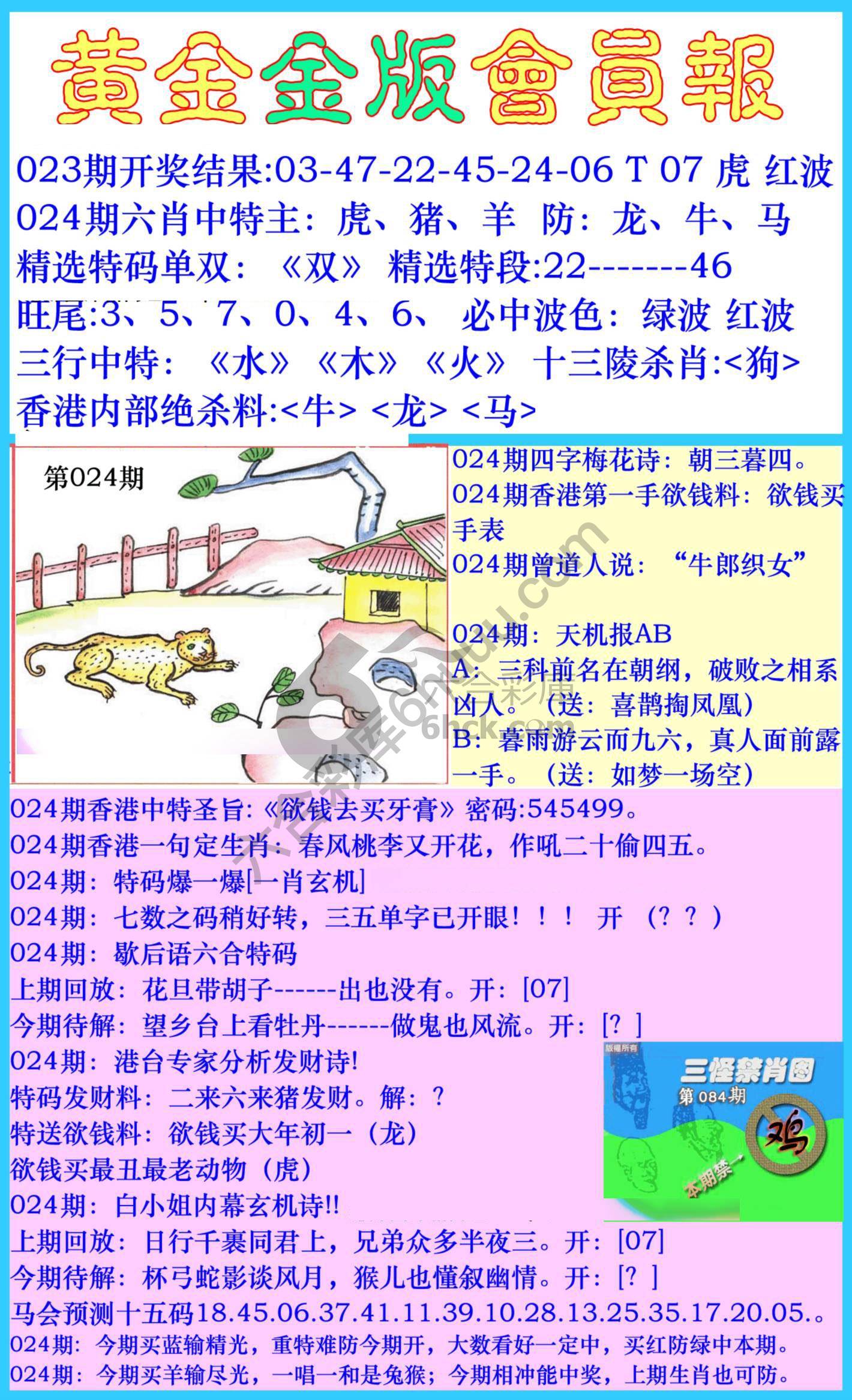 黄金金版会员报
