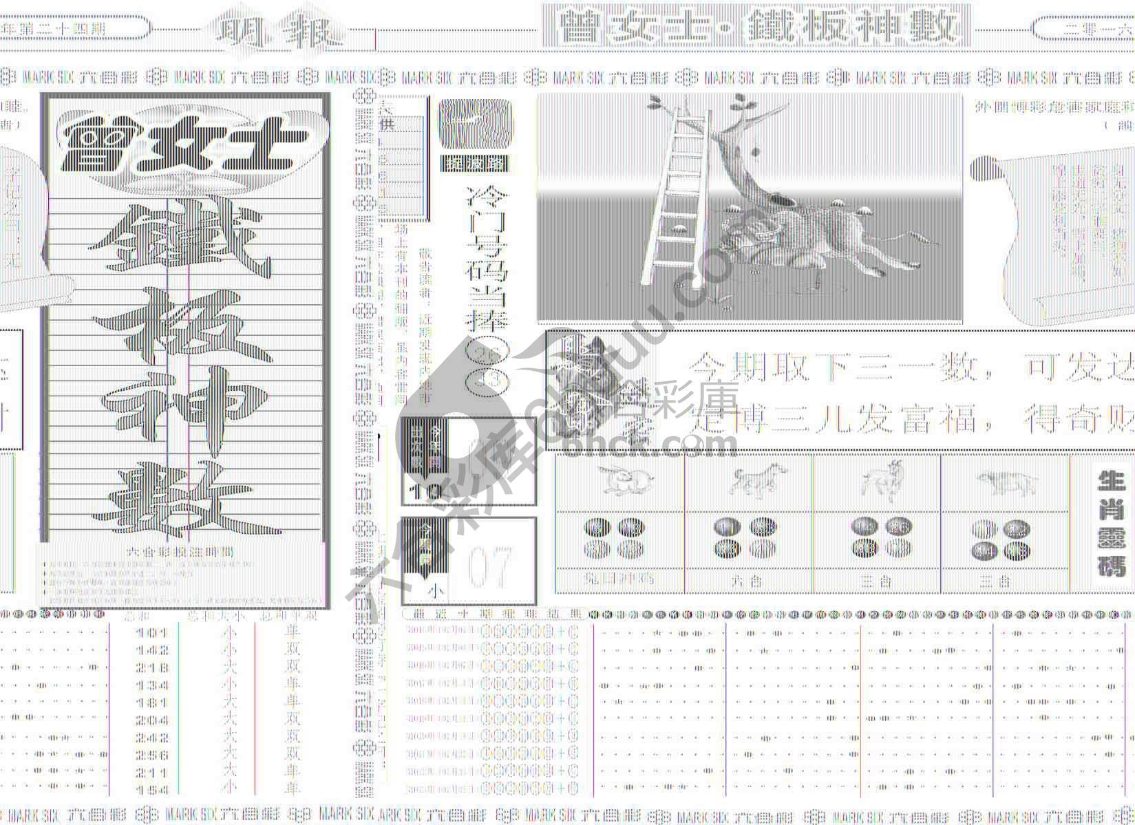 曾女士铁板神数