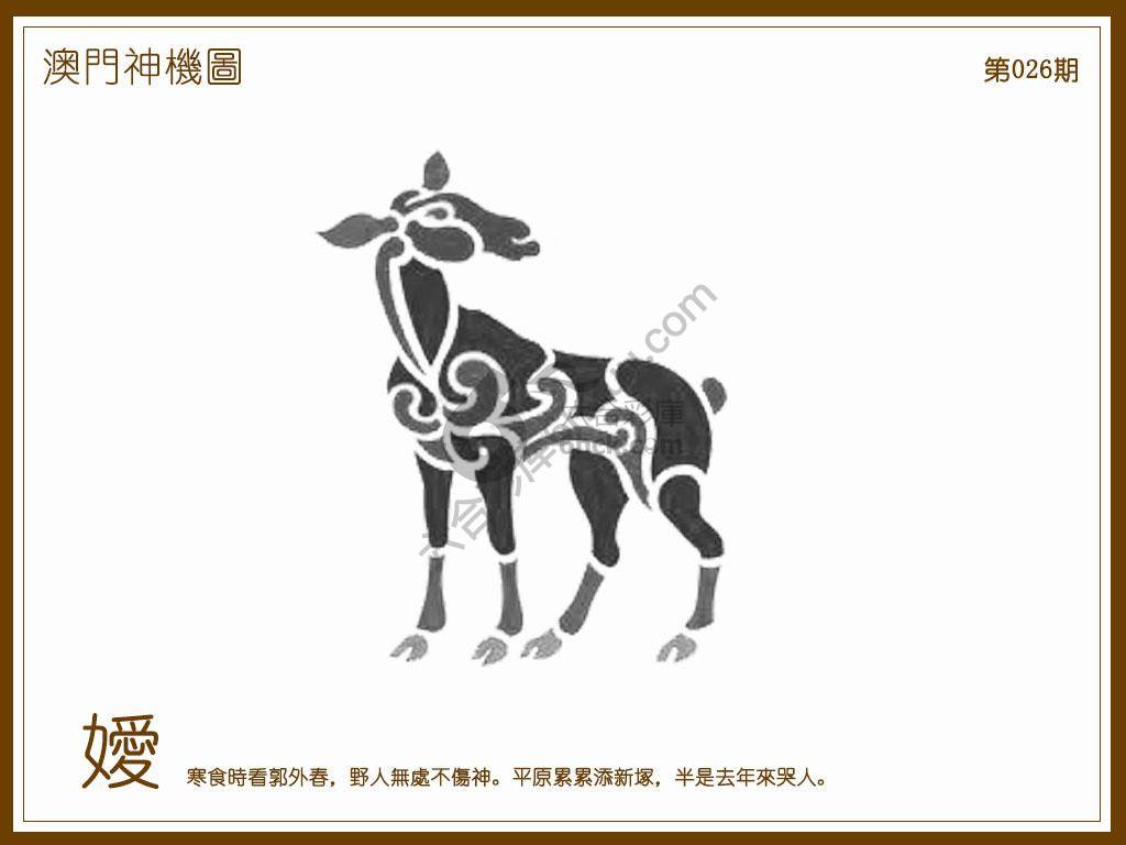 澳门神机图