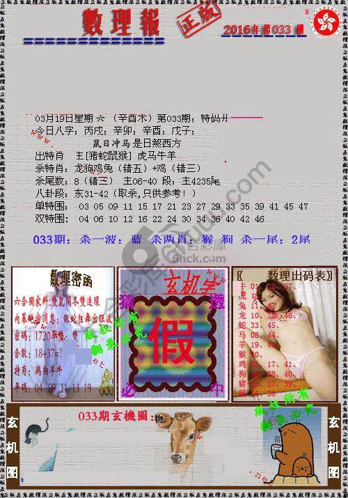 数理报