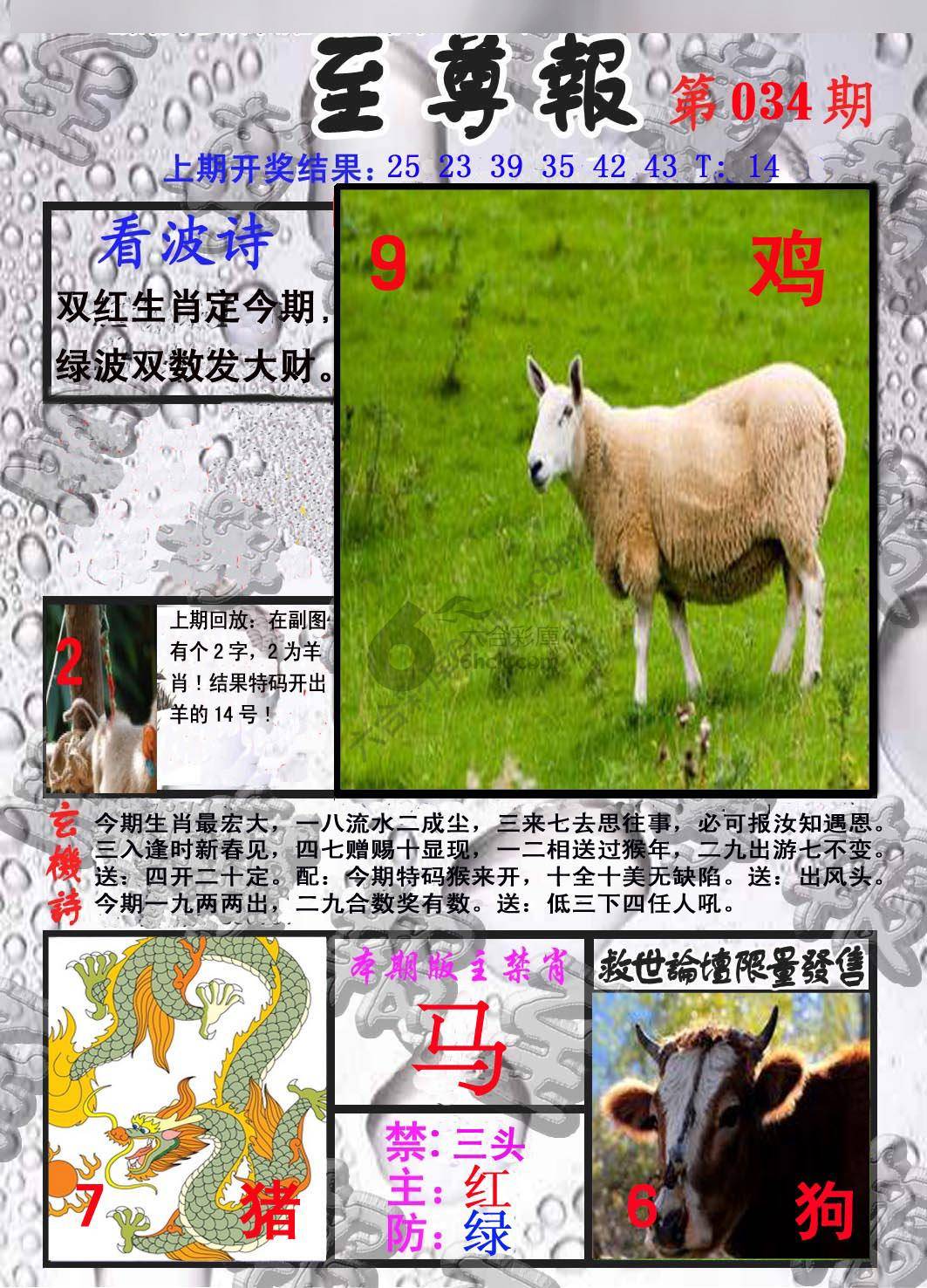 至尊报