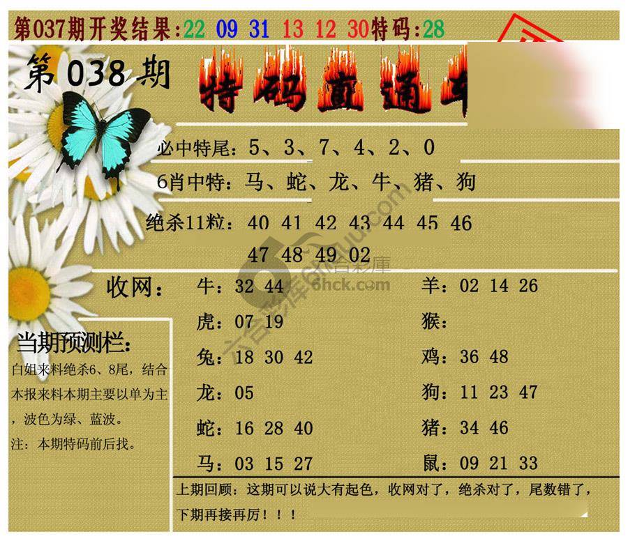 特码直通车