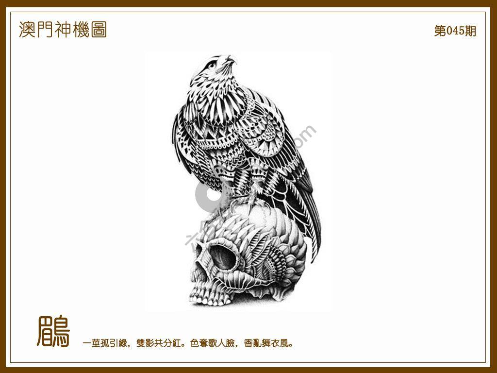 澳门神机图