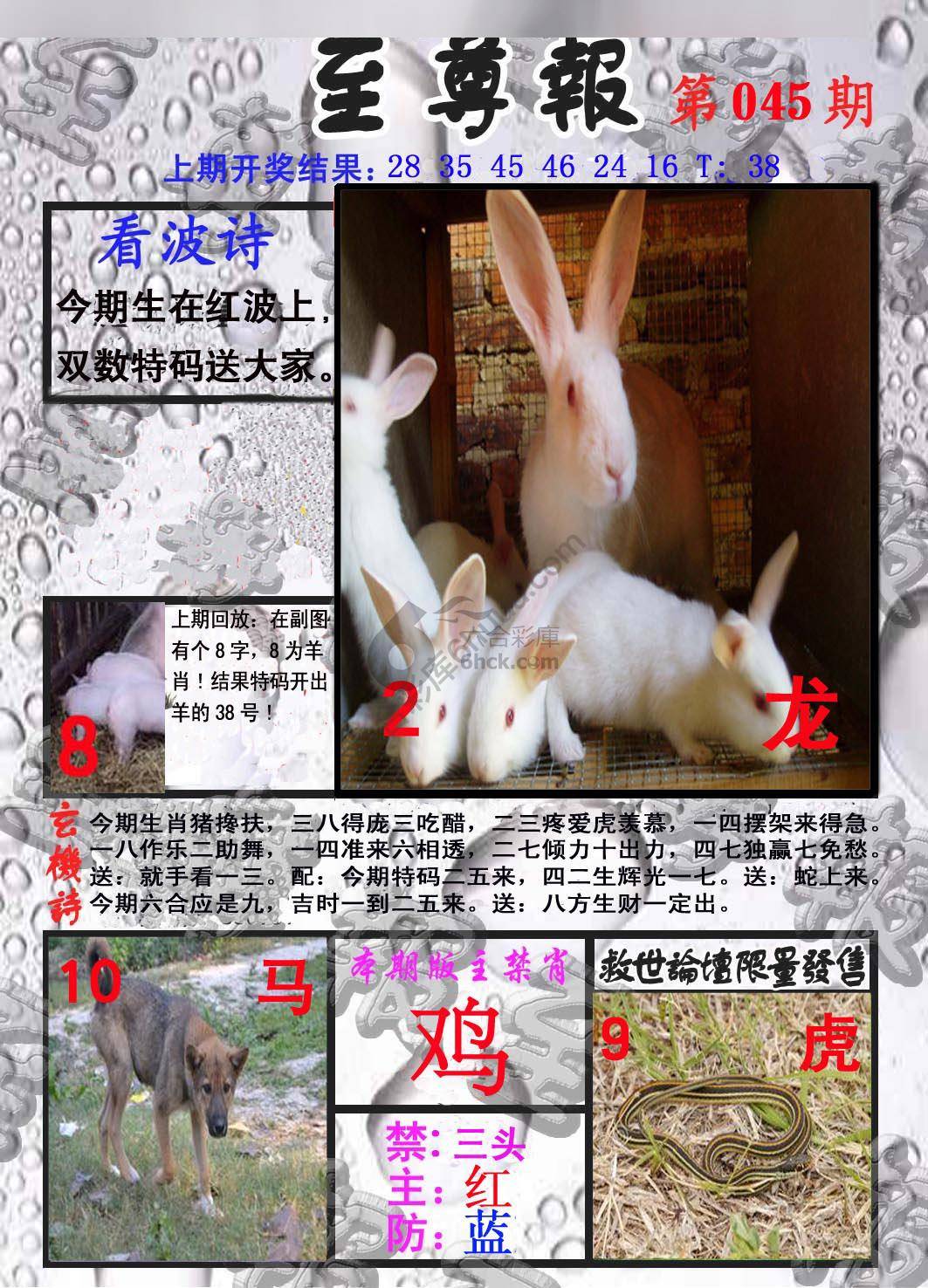 至尊报