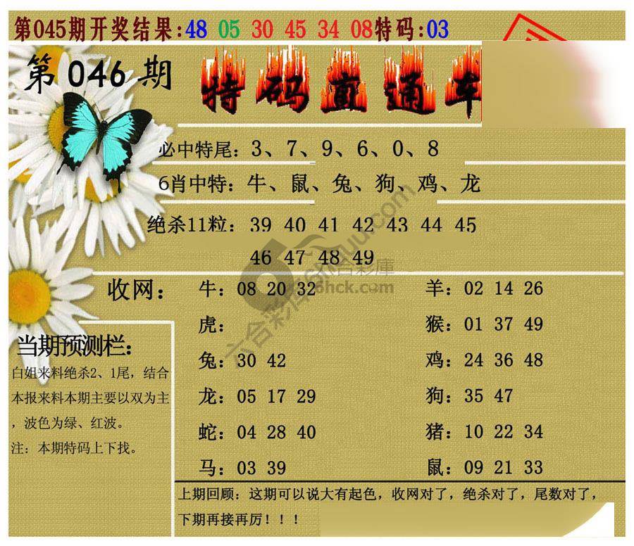 特码直通车