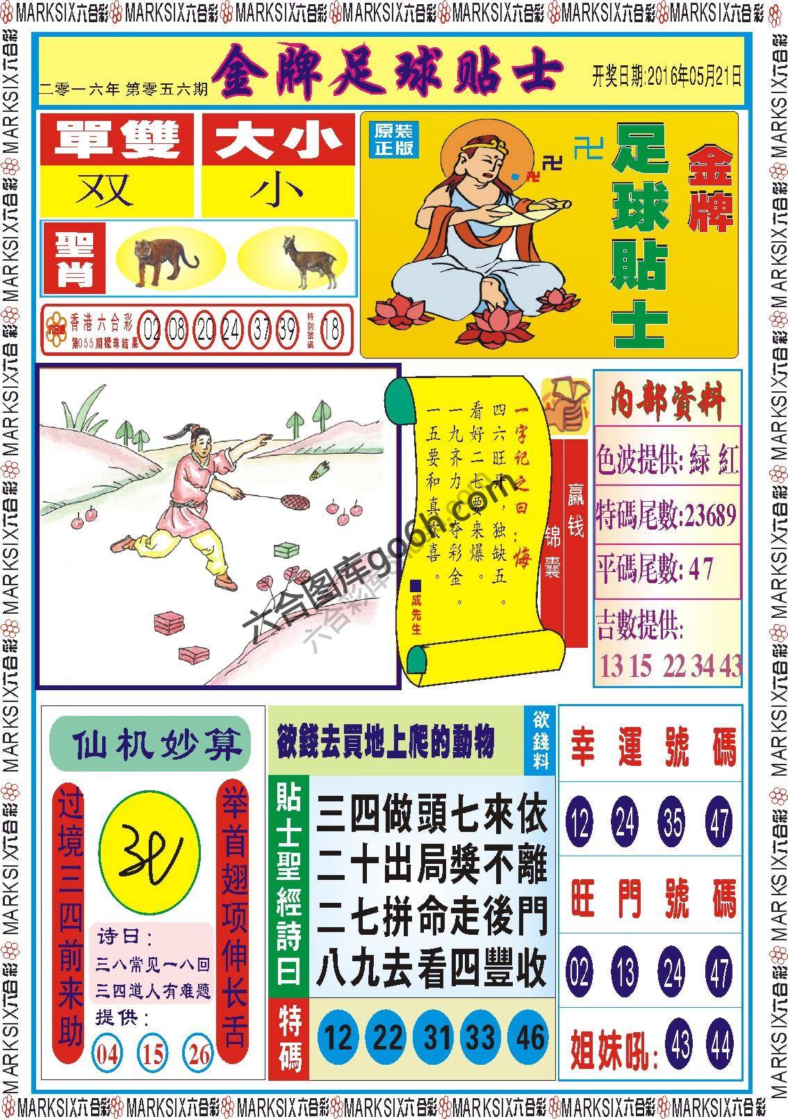 金牌足球贴士