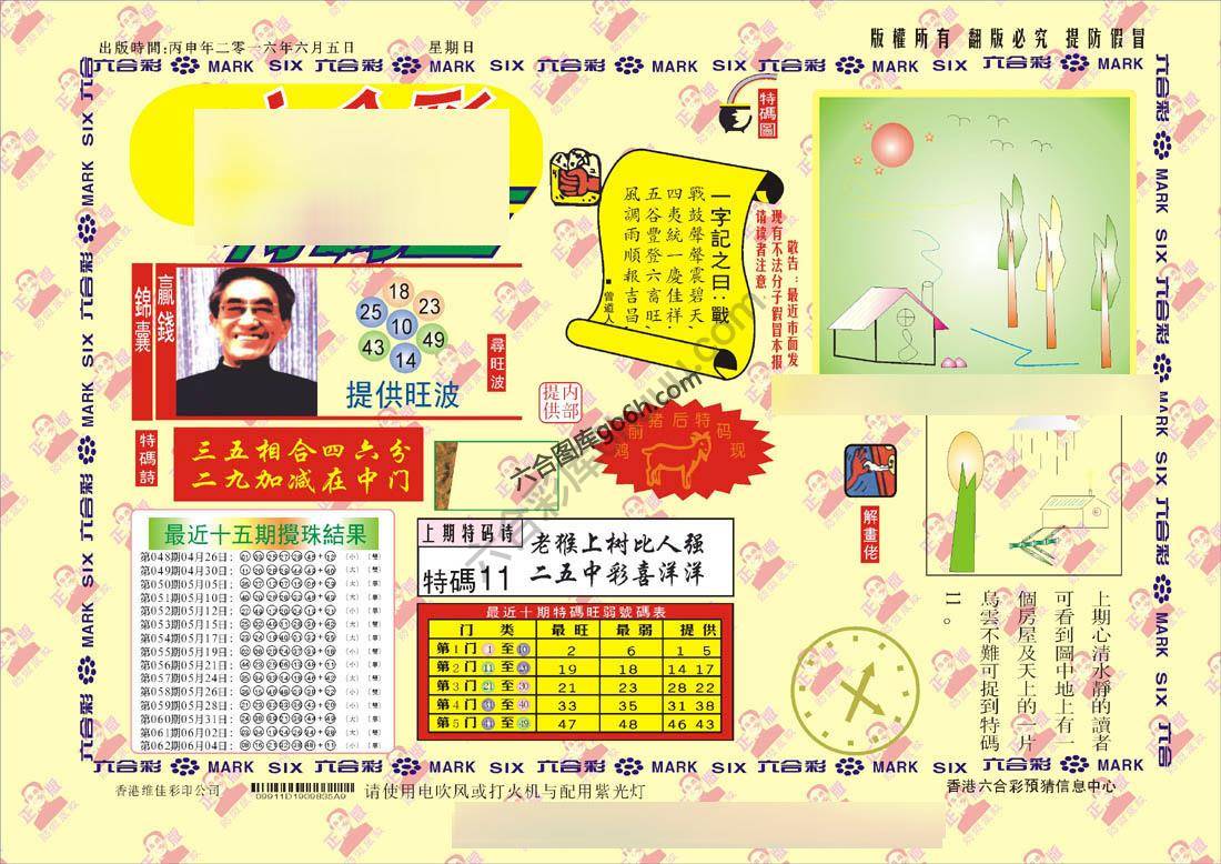 特码王
